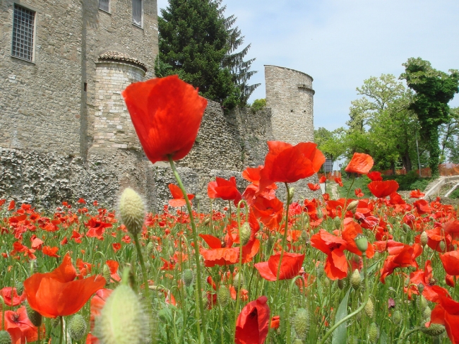 Off the beaten path in Umbria: an artist’s top 10 places Off the beaten path in Umbria: an artist’s top 10 places