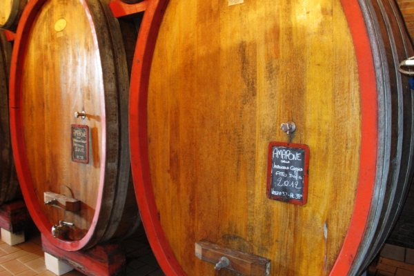 wine tasting in Italy, Amarone Valpolicella