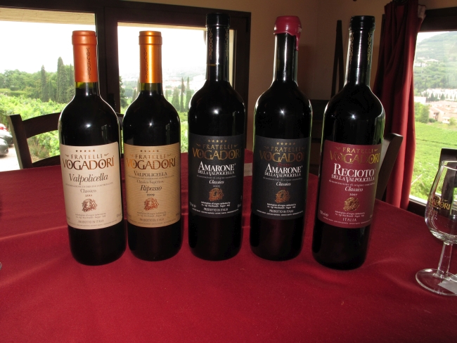 Wine tasting in Italy, Valpolicella amarone Vogadori