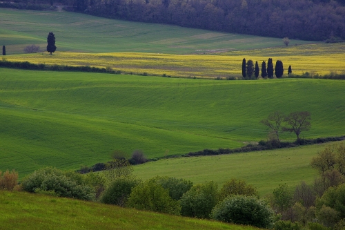 Tuscany Italy Val D'Orcia