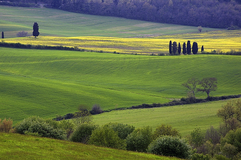 What to see and do in Tuscany, hiking in Italy, hiking in Tuscany