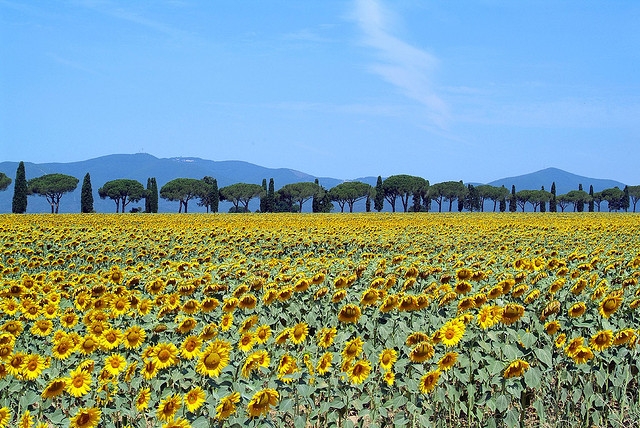 Off the beaten path in Tuscany Maremma